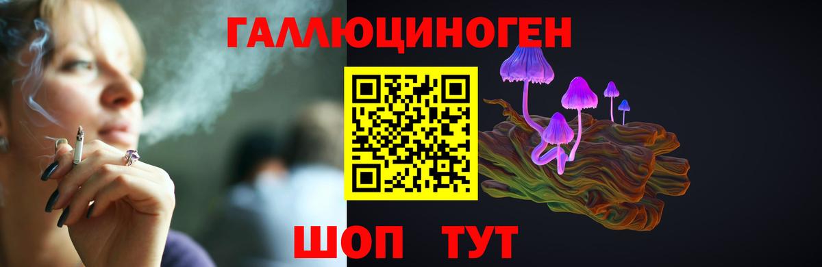 Псилоцибиновые грибы ЛСД  Псилоцибиновые грибы GOLDEN TEACHER  Соль-Илецк  Вход с VPN 
