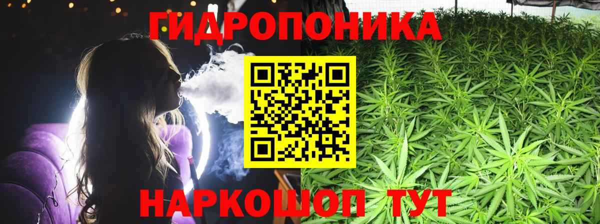 Конопля OG Kush Соль-Илецк